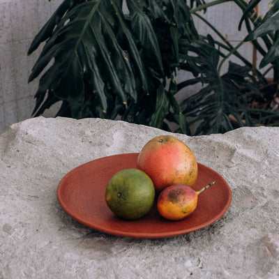 Curved plates, Red Clay